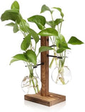 Plants Propagation Stations Bulb Glass Propagation Birthday Gift for Women by YYHglass