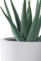 Kante Set of 3 White Concrete Capsule Planters 13.1" 11" 9" Dia - Image 7