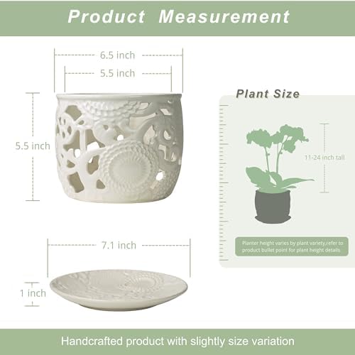 HERDUK Ceramic Orchid Pot, Orchid Pots with Drainage Holes & Saucer 6.5 Inch,Orchid Pot for Repotting Indoor, Orchid Containers with Precise Aeration & Drainage - Image 2