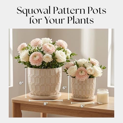 Decorative Flower Planter with Squoval Pattern and Saucer Plate - Home Decor Plant Pots for Indoor and Outdoor Styling - Perfect Plant Pots Accent for Plant Stand Indoor - Set of 2, 7", 6", Ivory - Image 2