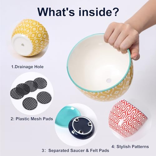 Selamica Ceramic Plant Pots, Indoor Flower Pots for Indoor Plants, 3.5+4.6+5.5 Planters with Drainage Hole & Saucer, Set of 3, Home Decor, Assorted Colors - Image 3