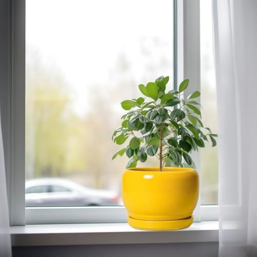 SQOWL Ceramic Plant Pot - 8 Inch Planter for Indoor Outdoor, Decorative Plant Pot with Drainage Hole and Saucer, Modern Round Planter for Flower, Desk Decor, Housewarming Gifts, Yellow - Image 4