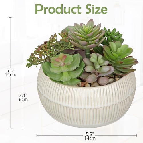 DILATATA Artificial Succulent Plants in Pot 5.5 Inch Fake Succulents Arrangement Potted Plant in White Ceramic Planter Bowl for Home Office Desk Shelf Living Room Bedroom Bathroom Decor - Image 2