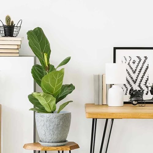 10inch Retro Ceramic Planter with Drainage Hole and Saucer for Multiple Plants, Indoor-Outdoor Garden Pots for Succulent, Orchid, and Flower (Fits Inner Pots Up to 9 Inch, Retro White) - Image 7