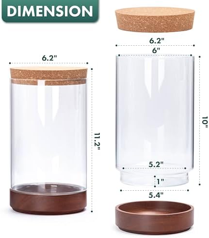 Clear Glass Houseplant Terrarium Planter, 6" W x 10" H, Cylindrical Terrarium with Wooden Base & Cork Lid | Versatile Tabletop Decoration for Home or Office or Hydroponics (Plant Not Included), 41-A-M - Image 2