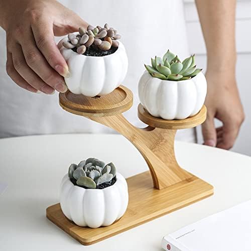 HASMI Plant pots 1 Set Ceramic Owl Garden Pots Pumpkin Flowerpot Nursery Succulent Plant Pot 3 Bonsai Planters with 3-Tier Shelf Flower Pots (Color : 1) - Image 3
