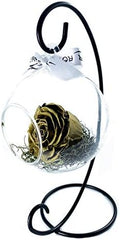 Real Natural Rose in A Glass Globe Terrrarium (Gold) by Unknown