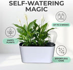 Self Watering Pots for Indoor Plants,12.5’’ Oval Planter with Lantern Type Water Storage Tank Level Indicators for Plants & Flower Outdoor Pothos Herb pots, Window Box (2 Set, White) - Image 2