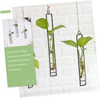Abaodam Xmas Wall Hanging Propagation Station 3pcs Iron and Glass Tubes - Image 6