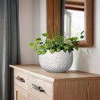 Ceramic Plant Pot, 8 Inch Round Planter with Drainage, White - Image 7