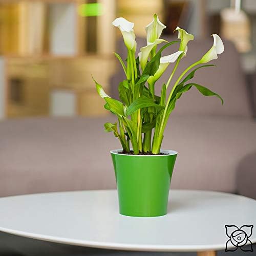 Santino 8.6 Inch ARTE Self Watering Planters (Set of 3) in Green-Gold/White Indoor Flower Pot for All House Plants, Flowers and Orchids - Image 7