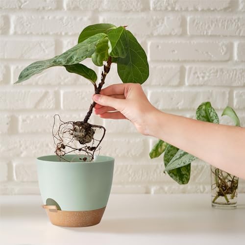 Self Watering Plant Pot with Drainage Hole,Plant Pots Outdoor Flower Pots for Indoor Plants,Modern Green Plastic Self Watering Planters Succulent Pot 7pcs/Set - Image 6