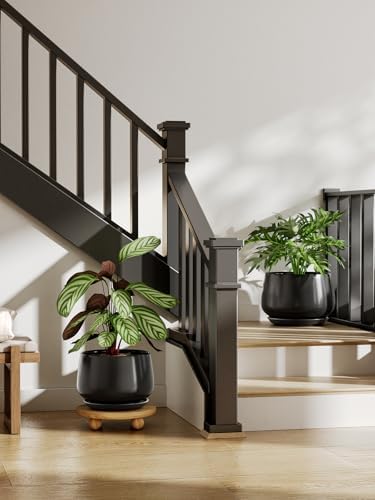 LE TAUCI Ceramic Planter, 12 Inch, Large Plant Pot, Indoor Plant Pot, Black - Image 2