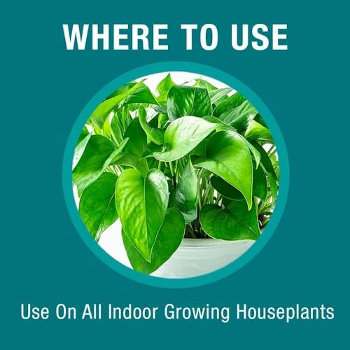 Baby Bio Houseplant Food, Concentrate, 5.9 Oz (3-Pack) with Natria Houseplant Insect Killer, Ready-to-Use, 24 oz - Image 5