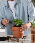 5.1 Inch Shallow Terracotta Plant Pots - 6 Pack Medium Clay Flowerpot with Drainage Hole, Terra Cotta Succulent Pot for Indoor Outdoor Plants - Image 5
