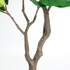 6FT Artificial Fiddle Leaf Fig Tree with Decorative White Pot - Image 4