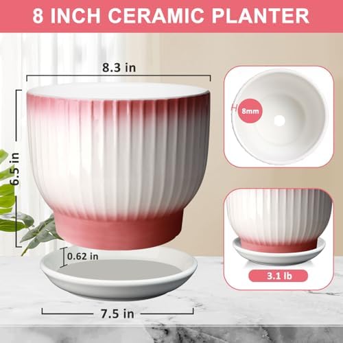 8 Inch Ceramic Plant Pot, Pink + White - Image 3