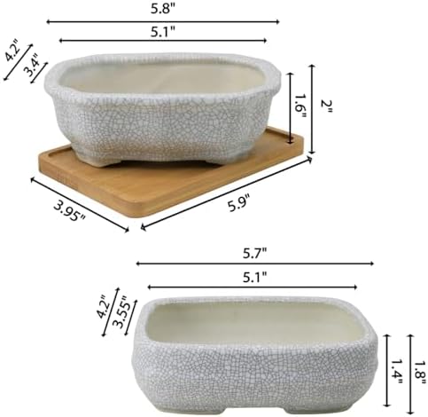 MUZHI 2 Pack Amazing Ice Crack Glazed Ceramic Bonsai Pot White Color 5 Inch with Bamboo Tray, Plant Pot Succulent Planter for Office Home Garden Decor Gift - Image 2