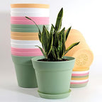 WOUSIWER 16 Pack 6 inch Plastic Planters, Indoor Flower Pots, Heavy Duty and Stylish 6 Inch Plant Pots for Indoor Plants with Drainage Holes and Tray for Plants, Flowers, Colorful by Wousiwer