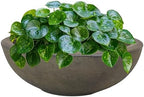 Sunnydaze Percival 20.75" Shallow Outdoor Planter Bowl, Sable by SunnydazeDecor