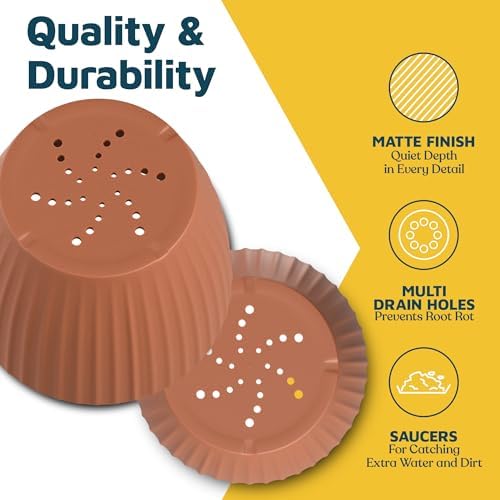 Terracotta 6-Inch Plant Pots with Drainage & Saucers 18 Pack, Indoor & Outdoor Planters for Houseplants, Herbs, and Flowers, Durable & Weatherproof Material, Stackable, Lightweight, Minimalist Design - Image 6