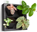 FRESH SPEED Self-Watering Wall Planters with Hygrometer&Thermometer-4 Pots by FRESHSPEED