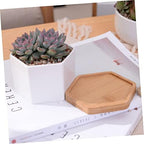 BESPORTBLE 2 Sets White Ceramic Hexagonal Succulent Pots with Bamboo Tray - Image 5