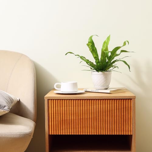 Sureasy Ceramic Plant Pots, 4.7 Inch Flower Pots for Indoor Plants, Succulent Pots with Saucer and Drainage Hole, Decorative Planter for Succulent, Cactus, Set of 4, White - Image 4