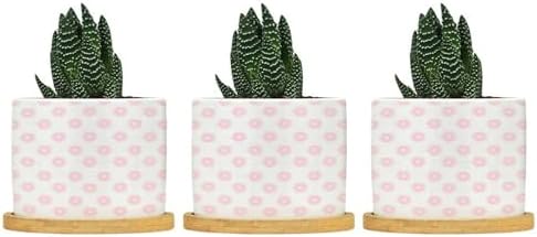 Timur in Blue Background Ceramic Planter Geometric Modern Planters for Indoor Plants with Drainage Holes and Saucers Pot for Home Desktop Office Windowsill by BRUYU5SE