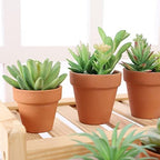 Yishang 2 inch Small Terracotta Pots with Drainage Holes,Mini Clay Ceramic Pottery Planter,Cactus Flower Nursery Terra Cotta Pots, for Indoor/Outdoor Succulent Plants, Crafts, Wedding Favor(80 Pack) - Image 4