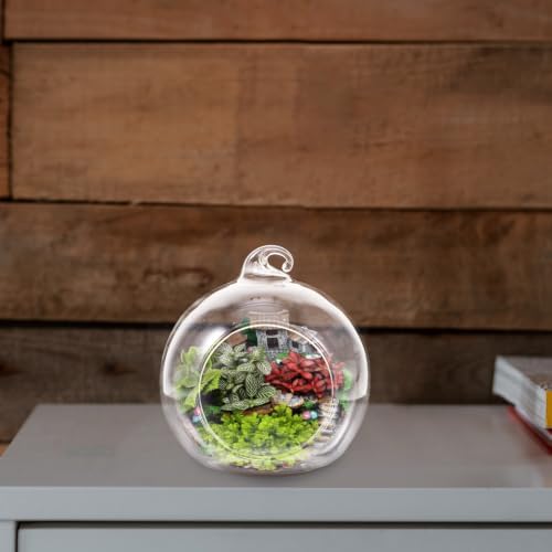 BESPORTBLE 12Pcs Modern Transparent Glass Globe Terrarium Elegant Air Plant Holders for Home Decor Succulent Display Micro Landscape Creation Vases - Image 6