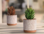 D'vine Dev Set of 2 Terracotta Pots, Broadleaf Pattern Planter, 31-958-H-1 - Image 6