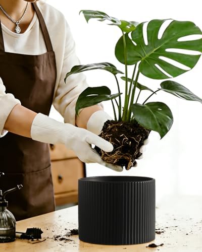 Matte Black Ceramic Plant Pots, 8.1 + 6 Inch Planters for Indoor Plants, Modern Flower Pots with Drainage, Two-Sizes Set - Image 6