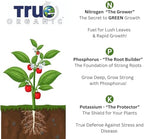 True Organic Blood Meal – High-Nitrogen Organic Fertilizer for Rapid Vegetative Growth – 3lb Bag Covers 104 Sq. Ft.- Case of 6 - Image 6