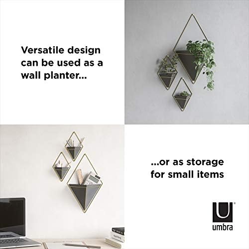 Umbra Trigg Wall Display, Large Geometric Planter Vessel, Black/Brass - Image 6