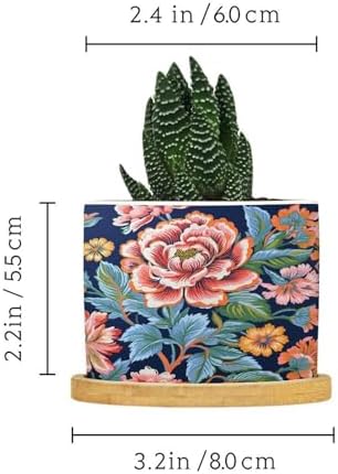 Bright and Chinoiserie Ceramic Planter Coral Peony Floral Snake Plant Live Indoor with Pot with Drainage Holes and Saucers Pot for Succulents Cactus Garden Windowsill - Image 2