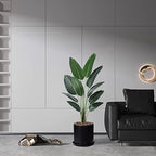 Plant Pots 10 Inch Ceramic Planter with Drainage Hole and Saucer, Matte Black Modern Cylinder Planter Pot for Indoor Outdoor Plants Flowers, Full Glazed Finish - Image 5