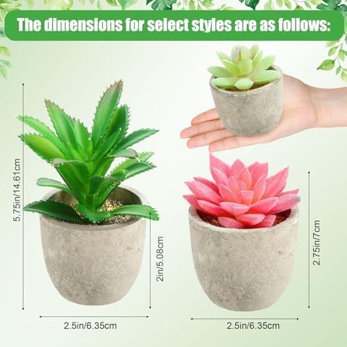 24 Pack Assorted Artificial Succulents in Retro Pulp Pots Bulk Fake Succulent Plants with Vintage Stone-Like Paper Pulp Pots Variety Set for Home, Office & Desk Decor (Various Style) - Image 2