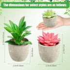 24 Pack Assorted Artificial Succulents in Retro Pulp Pots Bulk Fake Succulent Plants with Vintage Stone-Like Paper Pulp Pots Variety Set for Home, Office & Desk Decor (Various Style) - Image 2