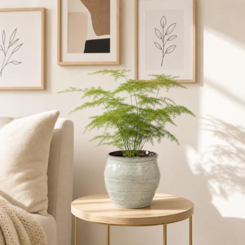 Hollyone White Ceramic Planter Pot Vintage 6 inch Plant Pot Handcrafted Rustic Glazed Flower Pots Vase for Indoor Outdoor Plants Decorative Plant Round Container Home Decor - Image 4