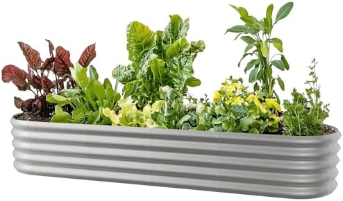 8x2ft Oval Galvanized Raised Garden Bed Kits 16" Tall Outdoor Large Metal Modular Planter Box 9-in-1 Raised Beds for Gardening,Vegetables,Fruits,Flowers & Herbs (Silver) by IDEAFAMILY