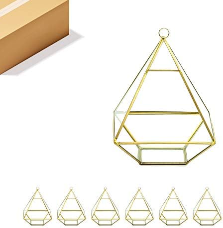 WGV Hanging Geometric Planter Terrarium Bulk Width 6" Height 8" Clear Glass Gold Frame DIY Succulent air Plant Miniature Fairy Garden Windowsill Decor Raised Pyramid 6 Pieces by WGVInternational-OpusGlassware