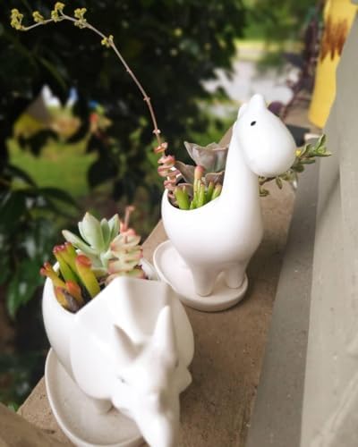 Ceramic Succulent Plant Pot Cactus Plant Pot Flower Pot Container Planter with Drainage Hole Home Office Desk Garden Gift Idea Animal Shaped Flower Pot Cute Vase Pot (4pcs Dinosaur) - Image 6