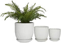 Deco 79 Porcelain Ceramic Indoor Outdoor Planter Leaf Patterned Small Planter Pot with Attached Saucer, Set of 3 Planters 8", 6", 5" H, White by Deco79