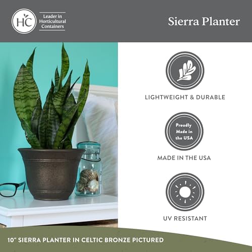 The HC Companies Sierra Round Self-Watering Pot - Lightweight Plastic Planter for Herbs & More - Durable Plant Pots for Indoor Plants & Outdoor Plants (10” Black Onyx, Pack of 1) - Image 5