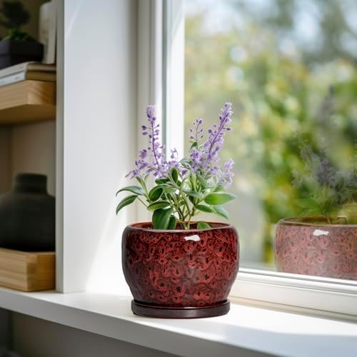 SQOWL Ceramic Pot for Plants - 6 Inch Plant Pot Indoor with Drainage Hole and Saucer, Decorative Flower Pot Outdoor, Round Succulent Planter, Front Porch Decor, House Warming Gifts New Home, Red - Image 2