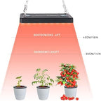 Grow Lights (4 Pack), Hanging Grow Lights for Indoor Plants, 25W UV-IR Full Spectrum Led Grow Light for Seedling Veg and Bloom - Image 5
