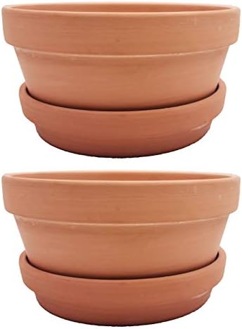 Yishang Large Terracotta Pots with Saucer/Tray for Succulent - 8 Inch Cactus Plant Containers Indoor Garden Bonsai Pots with Drainage Hole - Set of 2, Unglazed Clay Ceramic Pottery Planter by Yishang