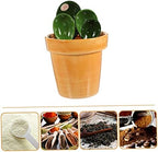 Ceramic Cactus Figurine with Holder Measuring Spoons - Image 4