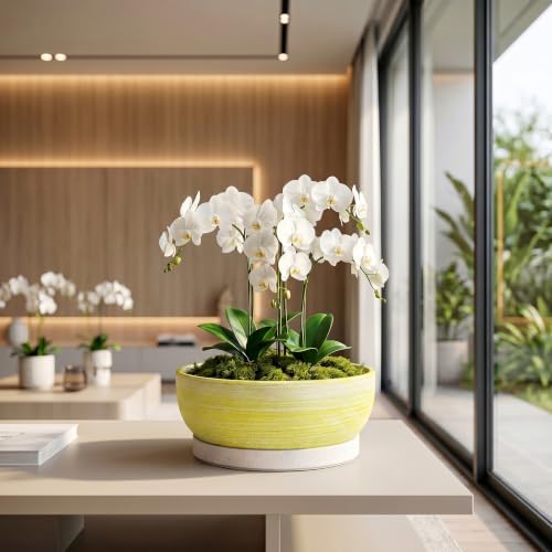 10 Inch Ceramic Bonsai Planter with Saucer, Brushed Yellow - Image 5